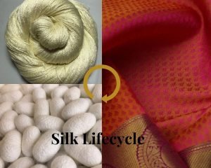 Read more about the article All about Silk-Origin | Types | Silk Sarees