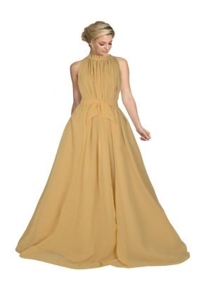 Beige Georgette Gown