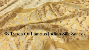 Read more about the article 18 Types Of Famous Indian Silk Sarees